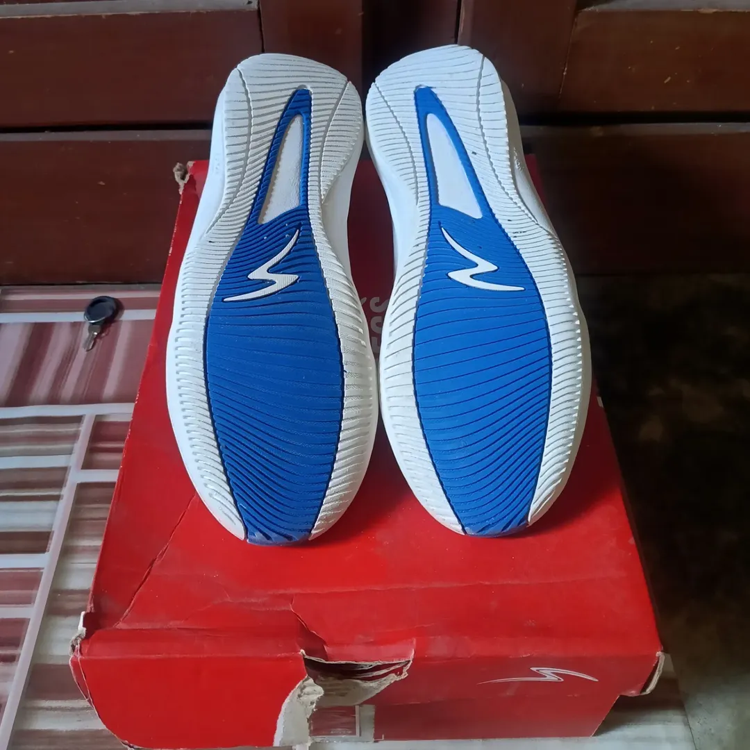 SPECS LIGHTSPEED DAZZLING BLUE IN - Image 3